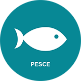 pesce