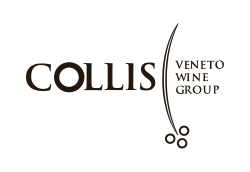 Collis