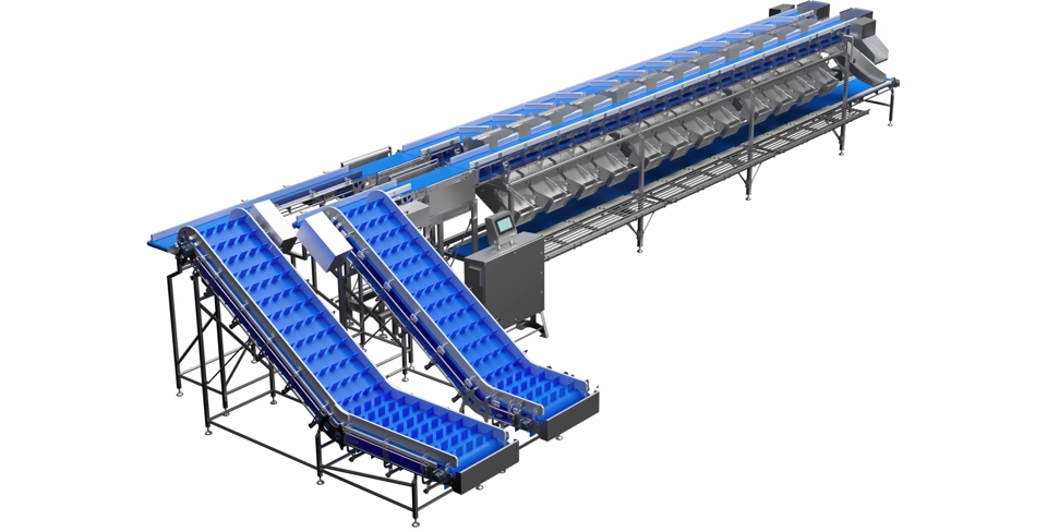 Macchina scanvaegt-selezionatori Scanvaegt Customized Grader - Lazzari Equipment